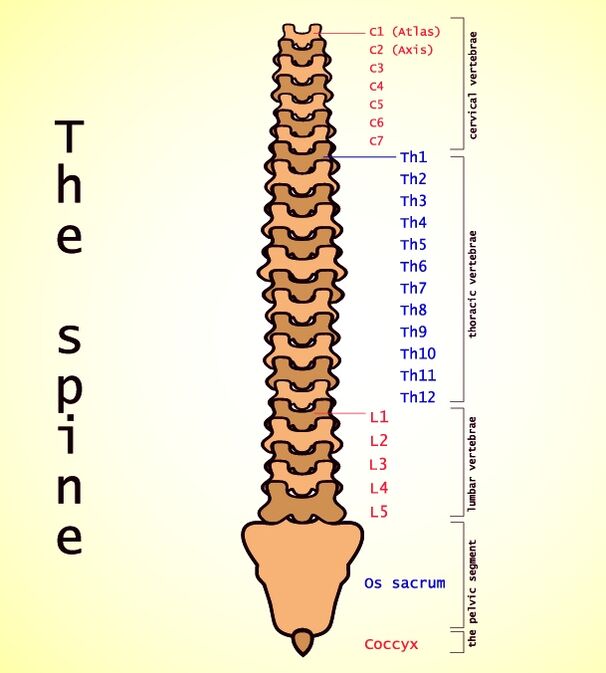 Поперековий остеохондроз